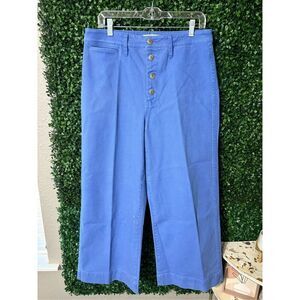 NWT Madewell - Blue distressed cotton canvas wide leg button fly pants, Sz 31 Ta